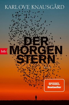 Der Morgenstern / Der Morgenstern-Zyklus Bd.1 von btb